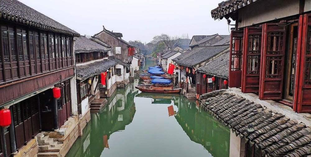 李文全随拍：这是一棵树的信笺，还是跫音的火把